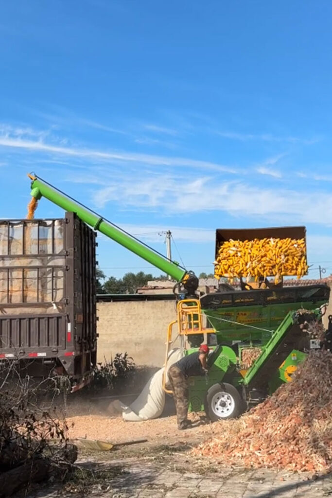 Continuous feeding and direct truck loading in maize shelling operation
