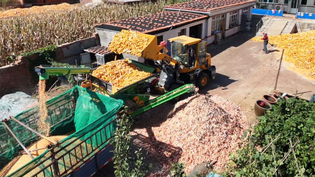 Diesel Power for Flexible Maize Shelling